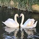 Le Moulin Gundershoffen