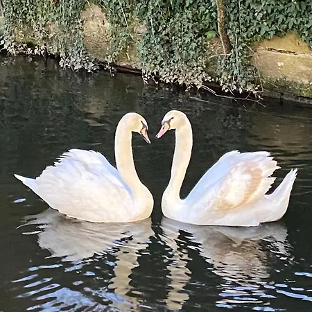 Le Moulin Gundershoffen