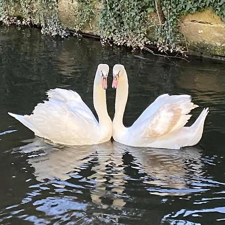 מלון Le Moulin Gundershoffen