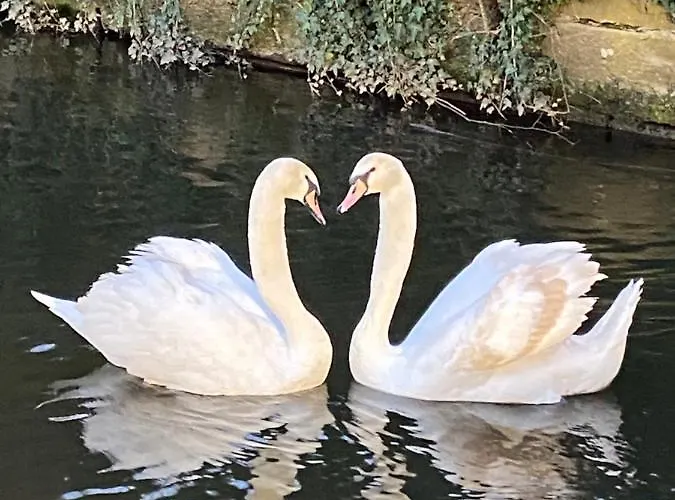 Le Moulin Gundershoffen