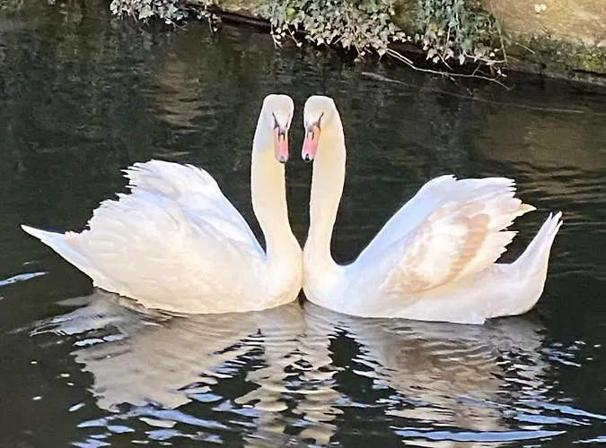 Hotel Le Moulin Gundershoffen