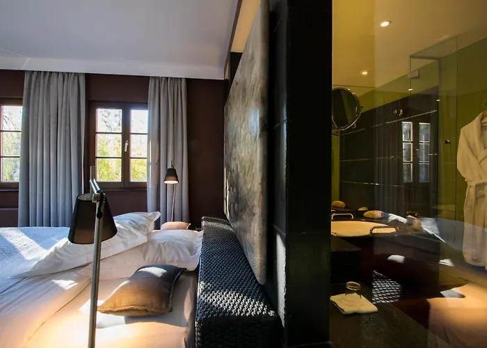 Hotel Le Moulin Gundershoffen