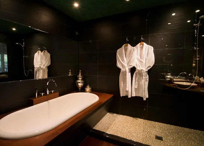 Le Moulin Hotel Gundershoffen