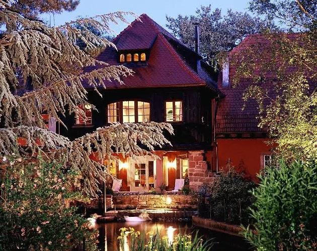 Le Moulin Hotel Gundershoffen
