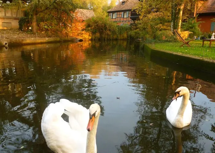 Le Moulin Gundershoffen